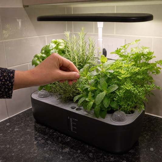 The Hidden Problem With Supermarket Herbs and Vegetables