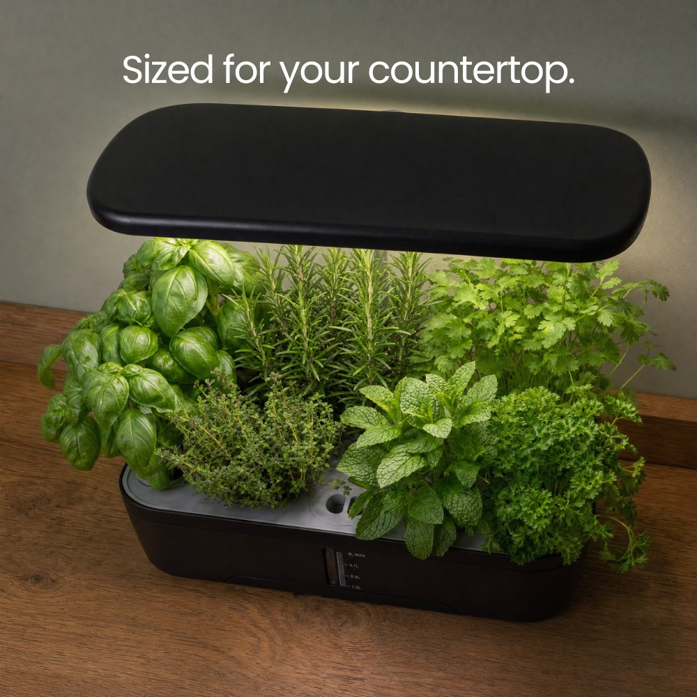 Sofi Smart Garden