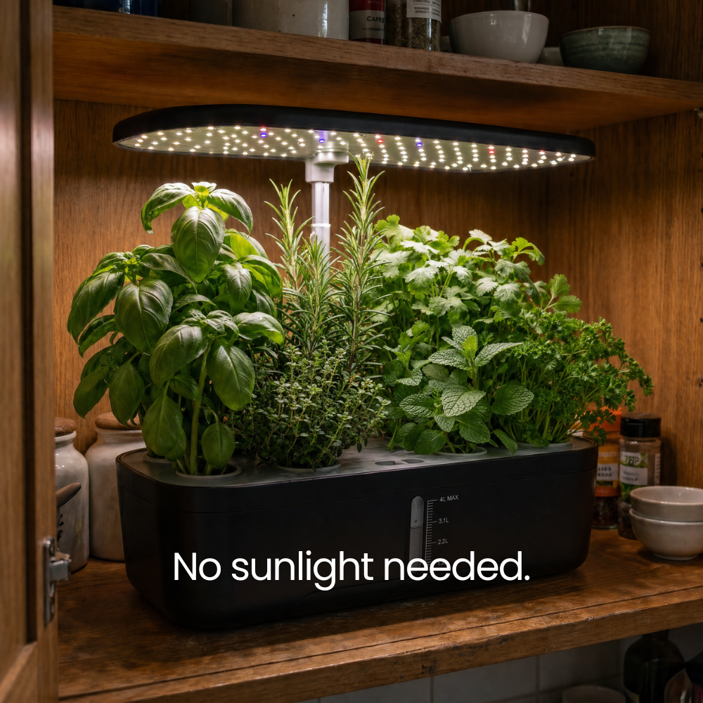 Sofi Smart Garden