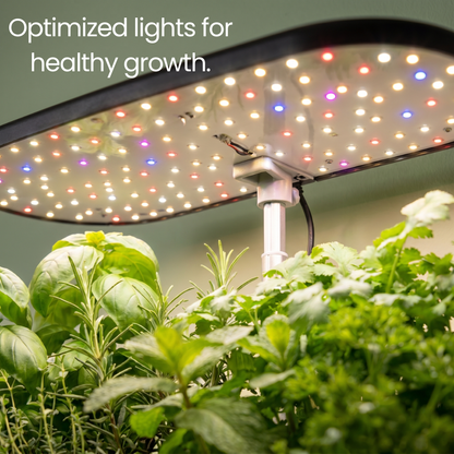 Sofi Smart Garden
