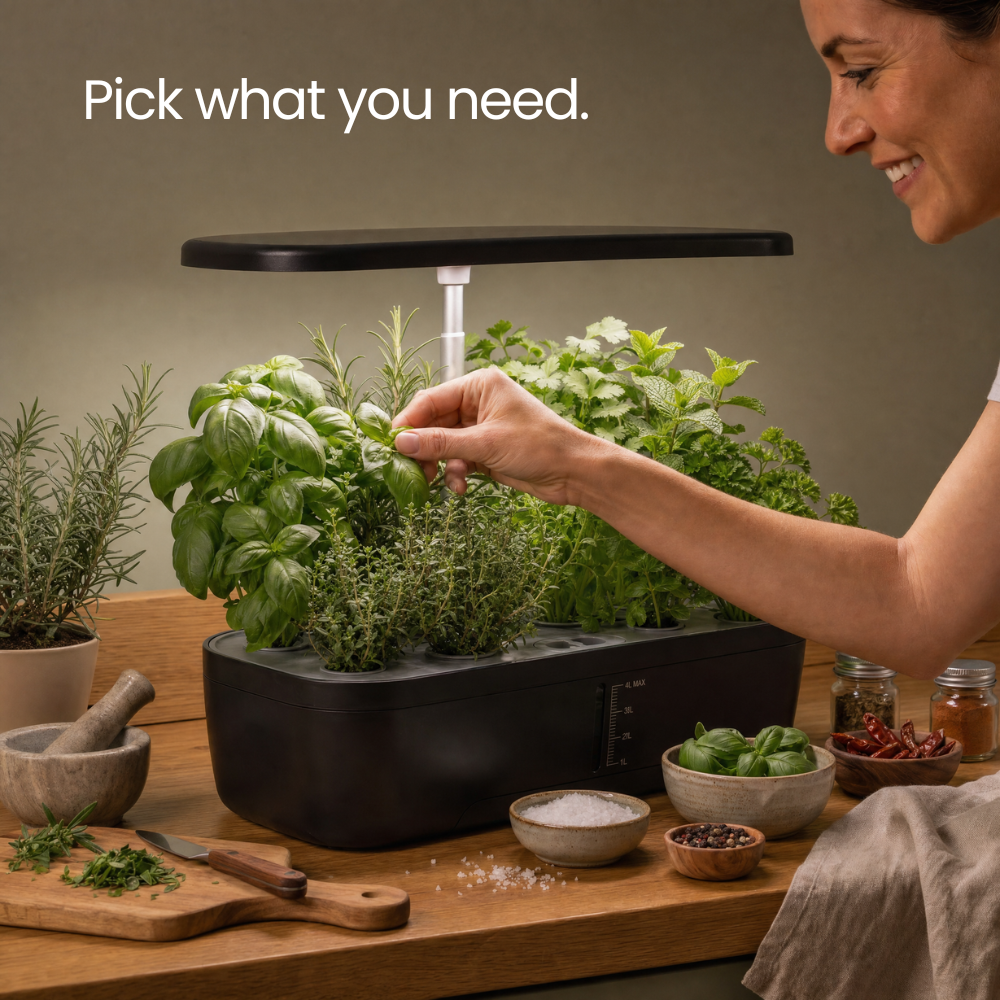 Sofi Smart Garden